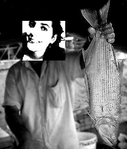 Tá baratim, tá baratim!! ;)