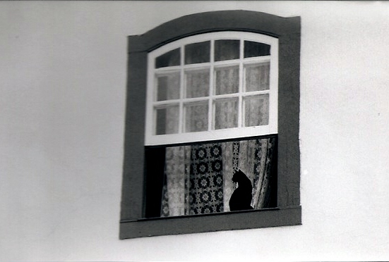 Ouro Preto - janela com gato