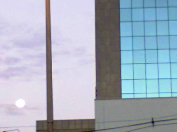 Tentando capturar a lua imensa.