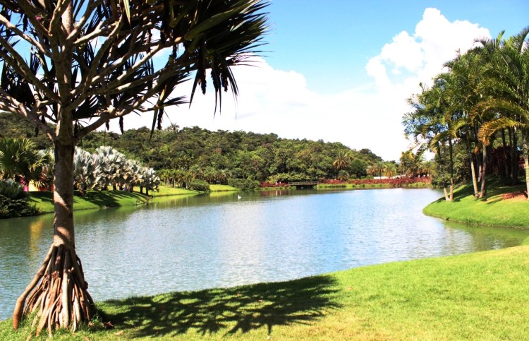 (Todas as fotos: CMC)