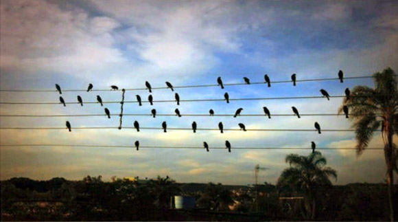 Foto de Paulo Pinto.