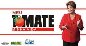 tomate14