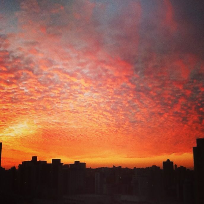 Foto de Felipe Camelo, do Belvedere