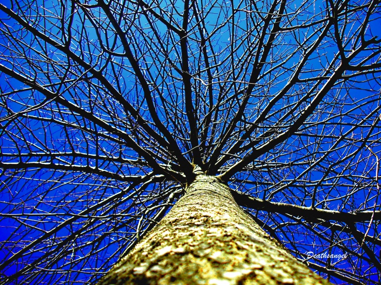 Fotografia de Filipa.