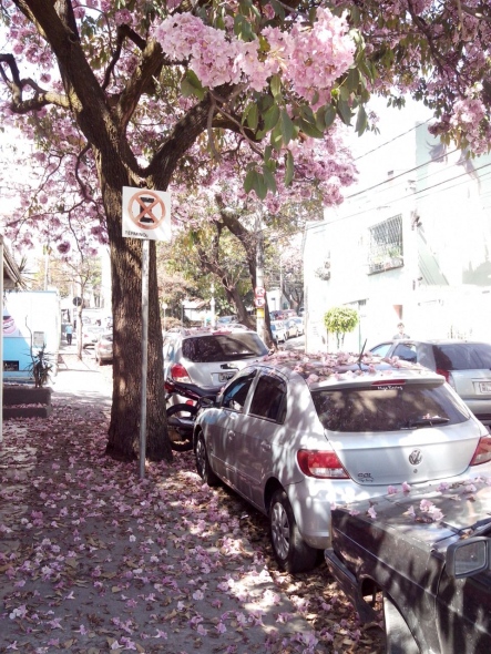 Crédito: Janaína Rochido (adorei o tapete de folhas no chão)