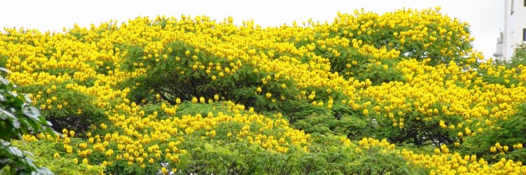 Todas as fotos: Flickr / Reprodução