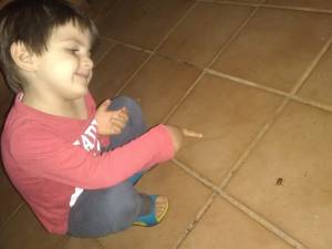 Criança apontando, sorridente, para um besouro.