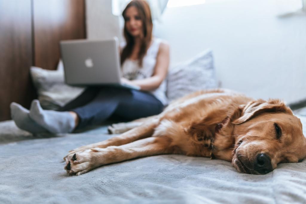 20 cursos on-line para se aprimorar durante o isolamento: saiba como escolher o melhor para&nbsp;você