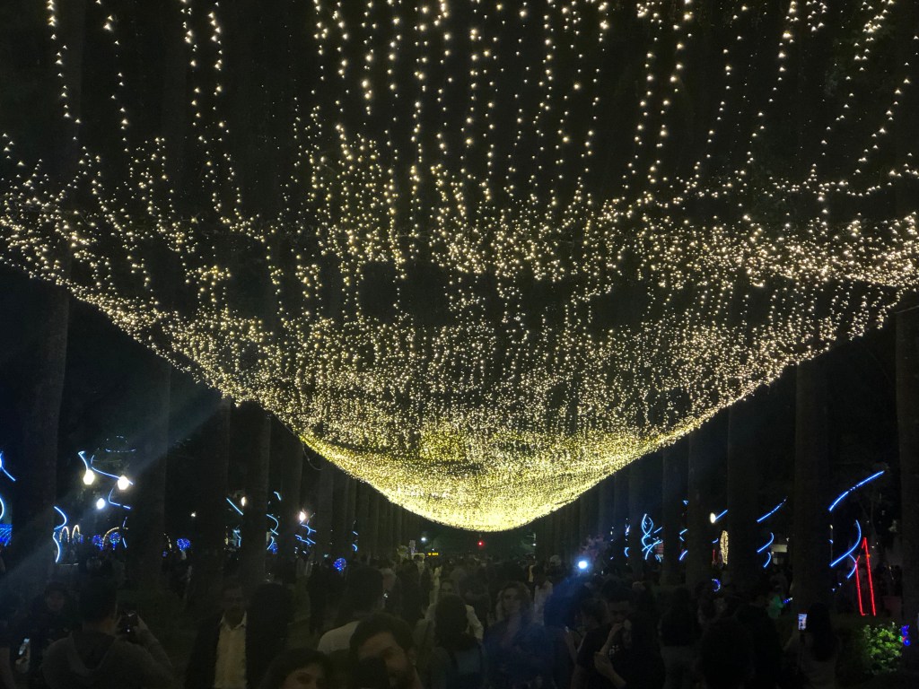 Iluminação de Natal da Praça da Liberdade está LINDA: veja as&nbsp;fotos!
