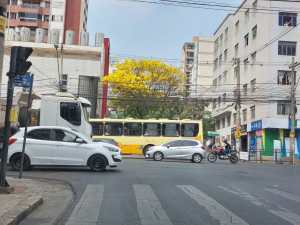 Em meio ao trânsito da av. do Contorno, destaca-se ao fundo o ipê amarelo na rua Carangola, em BH. Foto: CMC, em 21/9/2022