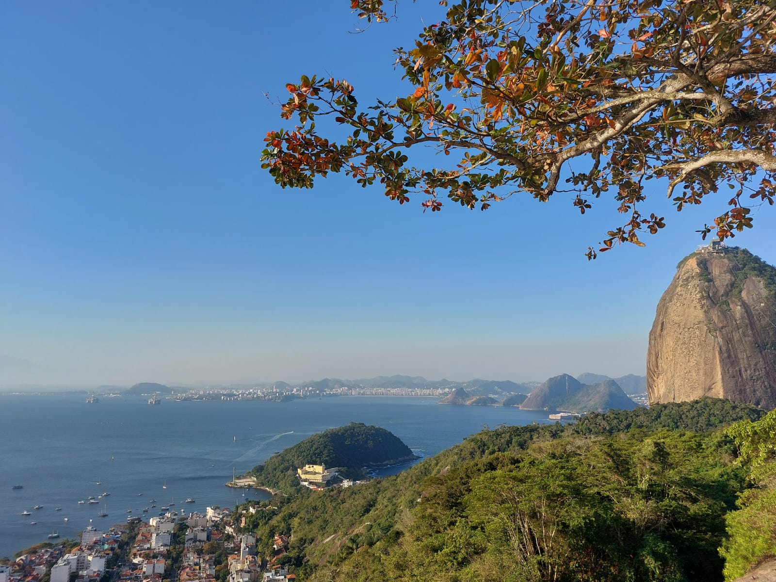 Rio de Janeiro (RJ): dica de 3 passeios para fazer com crianças
