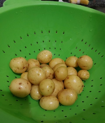 Batatas-bolinha lavadas, escorrendo a água.