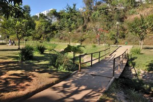 Pontezinha sobre córrego no parque Aggeo Pio Sobrinho. Foto: Breno Pataro / PBH