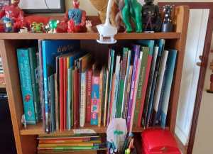 Um pedaço da biblioteca do Luiz, na escrivaninha dele. Ainda tem muito mais livro na cômoda.