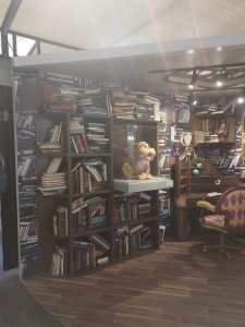 Exposição do Castelo Rá-tim-bum: biblioteca e o gato original da série