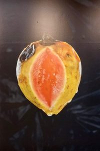 Goiaba na exposição 'Sob a Pele', de Pauline Daniel.
