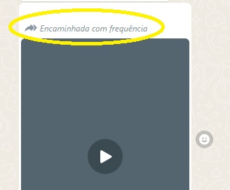 Tela de WhatsApp mostra vídeo com alerta de "encaminhado com frequência, que é sinal para disseminação viral, e possível fake news.