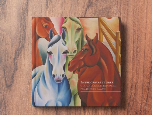 Imagem ilustrativa da capa do livro de Raquel Fernandes.