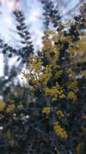 Praça da Liberdade, em BH