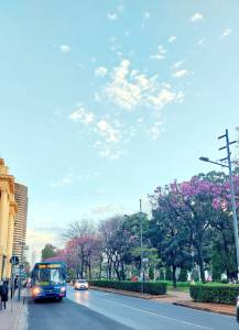 Praça da Liberdade, em BH
