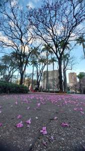 Praça da Liberdade, em BH