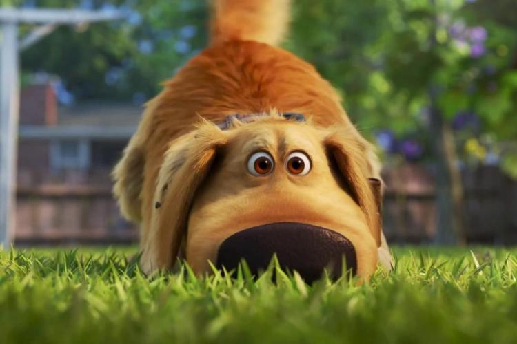 Série A Vida de Dug, da Disney Pixar