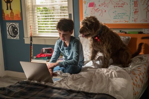 Cena do filme 'Uma mente canina'