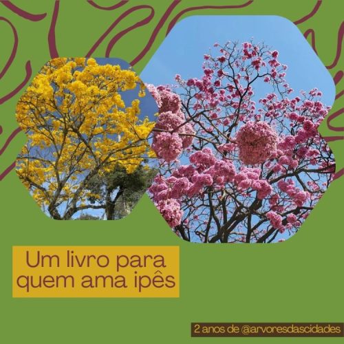 Um livro para quem ama ipês