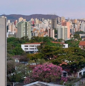 Lindo ipê roxo clicado por mim em BH (vista do bairro Santo Agostinho), em julho.