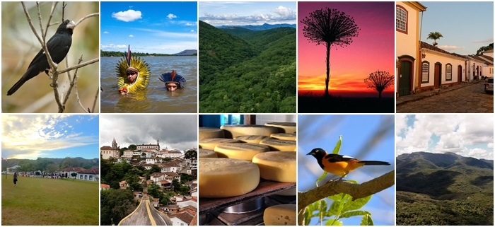 Uma newsletter para quem se preocupa com o meio ambiente