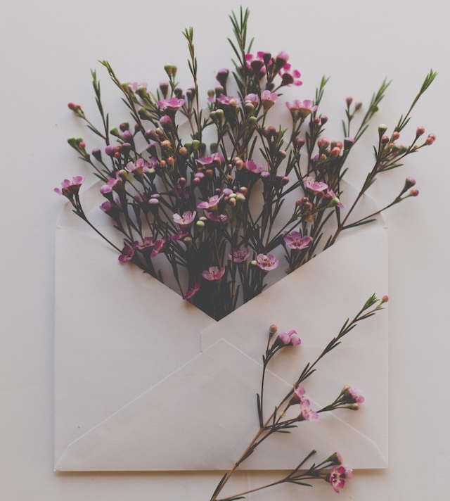 Envelope de carta cheio de flores. Foto: Sixteen Miles Out / Unsplash