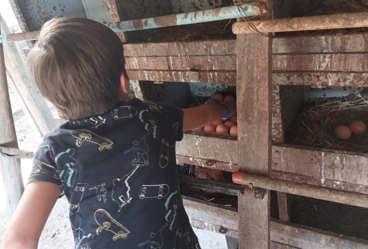 Santana dos Montes (MG) - hospedagem no Chalés dos Montes. Foto: CMC / blog da kikacastro