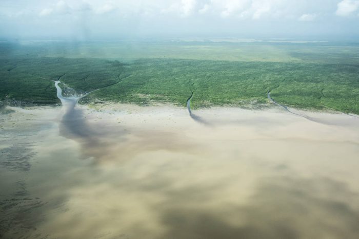 A foz do Amazonas, que está na mira da Petrobras. Foto: Elsa Palito/Greenpeace Brasil