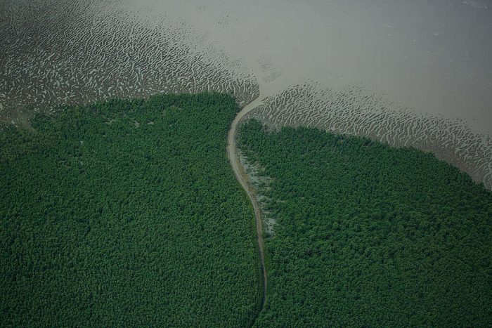 Imagem aérea do Parque Nacional do Cabo Orange, na costa do estado do Amapá, no extremo norte do Brasil. O local congrega biomas variados, como mangues e florestas tropicais (Foto: Victor Moriyama/Greenpeace)