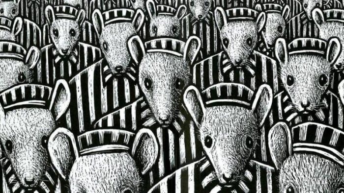 Cena do livro 'Maus', em imagem de divulgação.