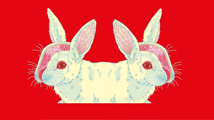 Ilustração de coelho, de Ing Lee, que aparece na capa do livro "Coelho Maldito", de Bora Chung.