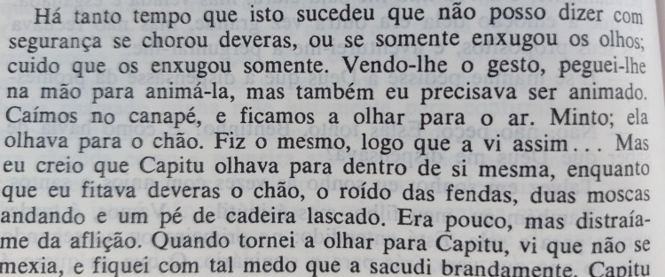 Trecho de Dom Casmurro que ilustra o nível de detalhamento do narrador.