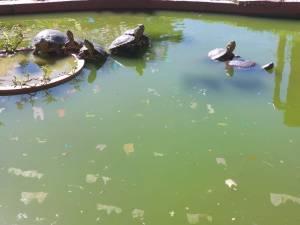 Caffé da Terra, parada na BR-262, em Araújos (MG)