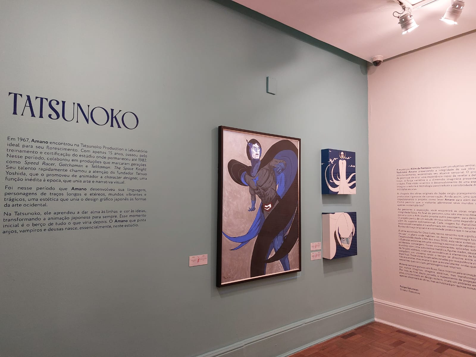 Obra da exposição Yoshitaka Amano - Além da Fantasia, no CCBB BH, a maior da carreira do artista japonês. Foto: CMC / blog da kikacastro