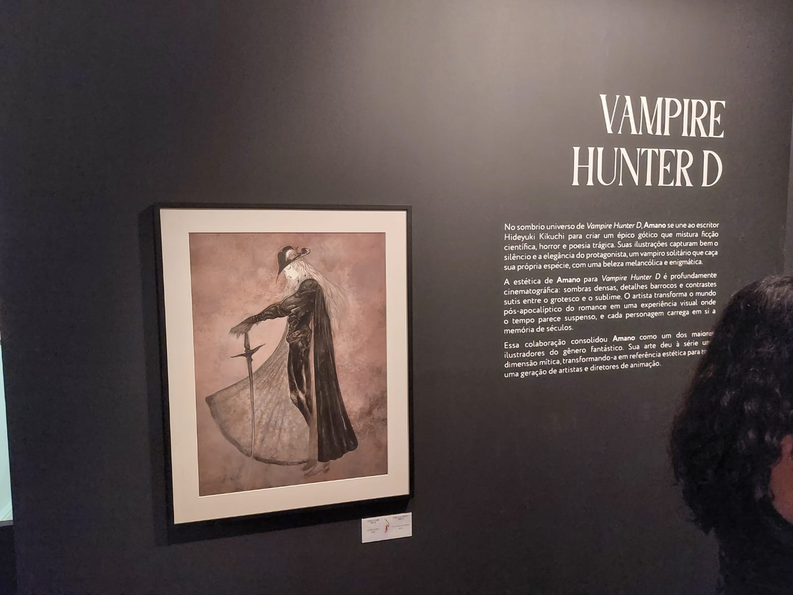 Obra da exposição Yoshitaka Amano - Além da Fantasia, no CCBB BH, a maior da carreira do artista japonês. Foto: CMC / blog da kikacastro