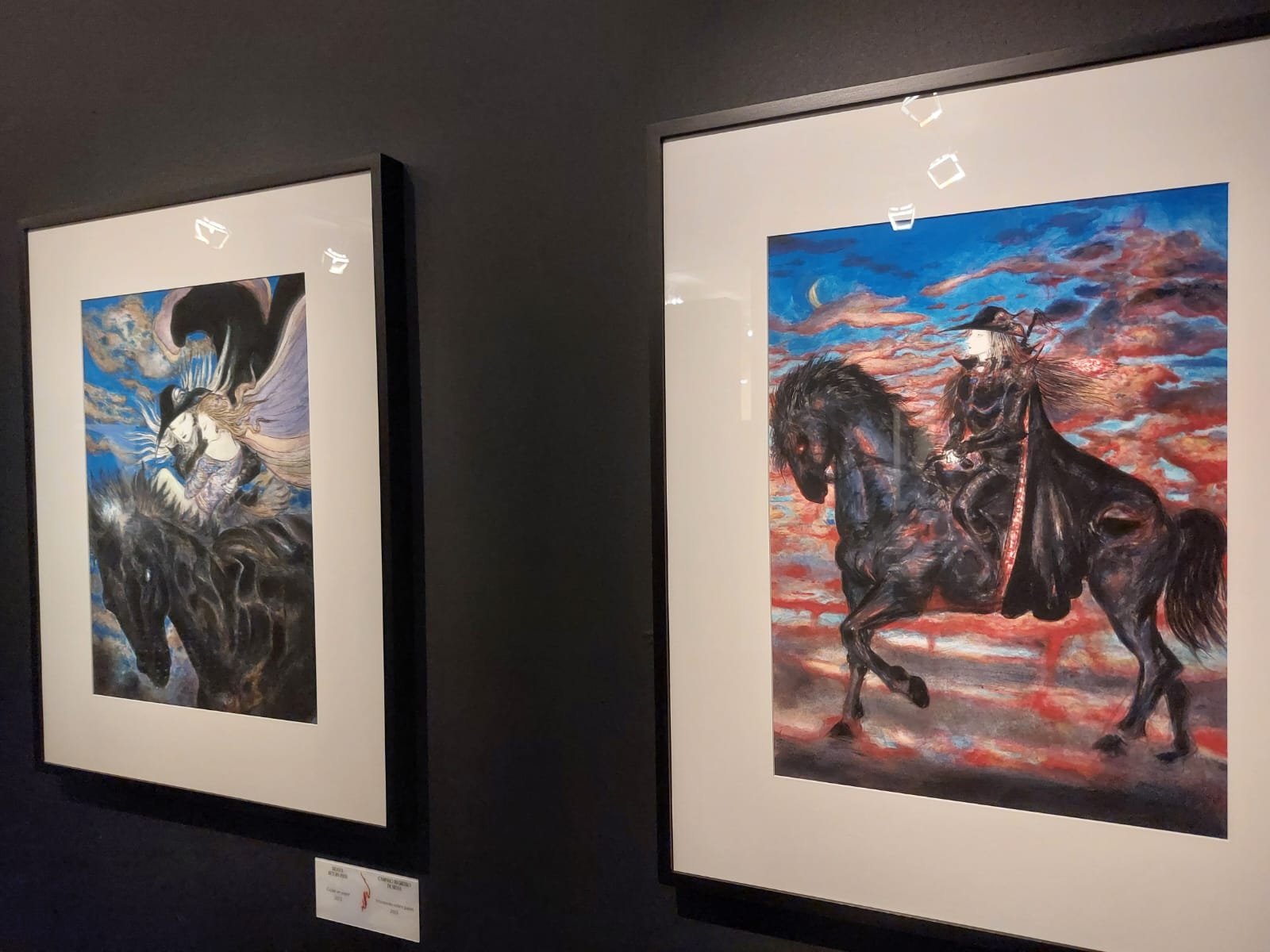 Obra da exposição Yoshitaka Amano - Além da Fantasia, no CCBB BH, a maior da carreira do artista japonês. Foto: CMC / blog da kikacastro