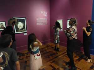 Obra da exposição Yoshitaka Amano - Além da Fantasia, no CCBB BH, a maior da carreira do artista japonês. Foto: CMC / blog da kikacastro