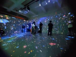 Obra da exposição Yoshitaka Amano - Além da Fantasia, no CCBB BH, a maior da carreira do artista japonês. Foto: CMC / blog da kikacastro