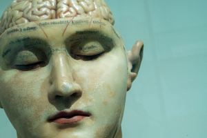 modelo cérebro cinza ciência medicina anatomia corpo humano cabeça demência cérebro humano anatomia humana turquesa doença de alzheimer alzheimer's fisiologia humana anatómico humanidade doença cerebral Alemanha Berlim