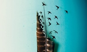Imagem de Nick Orr Art na capa do livro Os Corações Perdidos, de Celeste Ng.