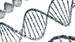 DNA, genética, gene, teste genético. Foto: Ashraful Islam / Unsplash
