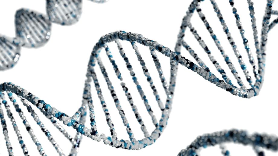 DNA, genética, gene, teste genético. Foto: Ashraful Islam / Unsplash