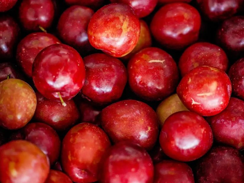 Na contramão dos ataques de Trump, Brasil brilha na exportação de frutas