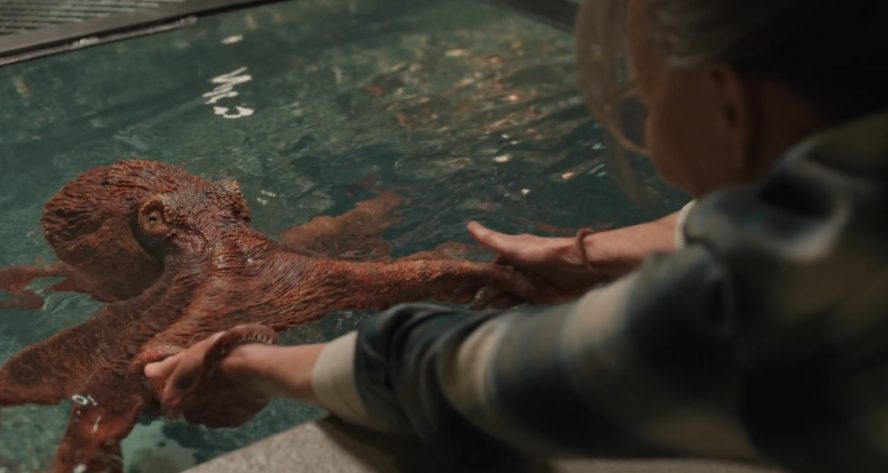 Criaturas Extraordinariamente Brilhantes: leia minha resenha e veja o trailer do filme